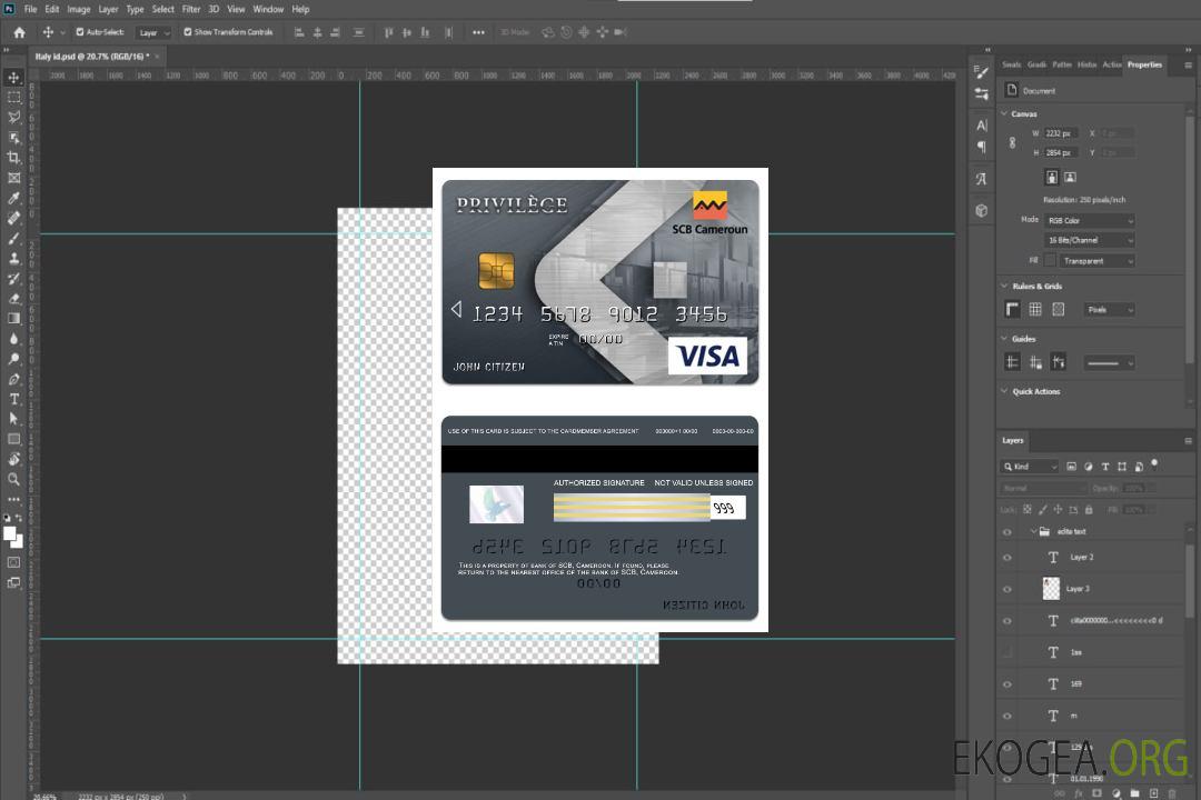 Carte privilège visa bancaire SCB du Cameroun template Carte privilège visa bancaire SCB du Cameroun template